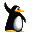 pingouin9